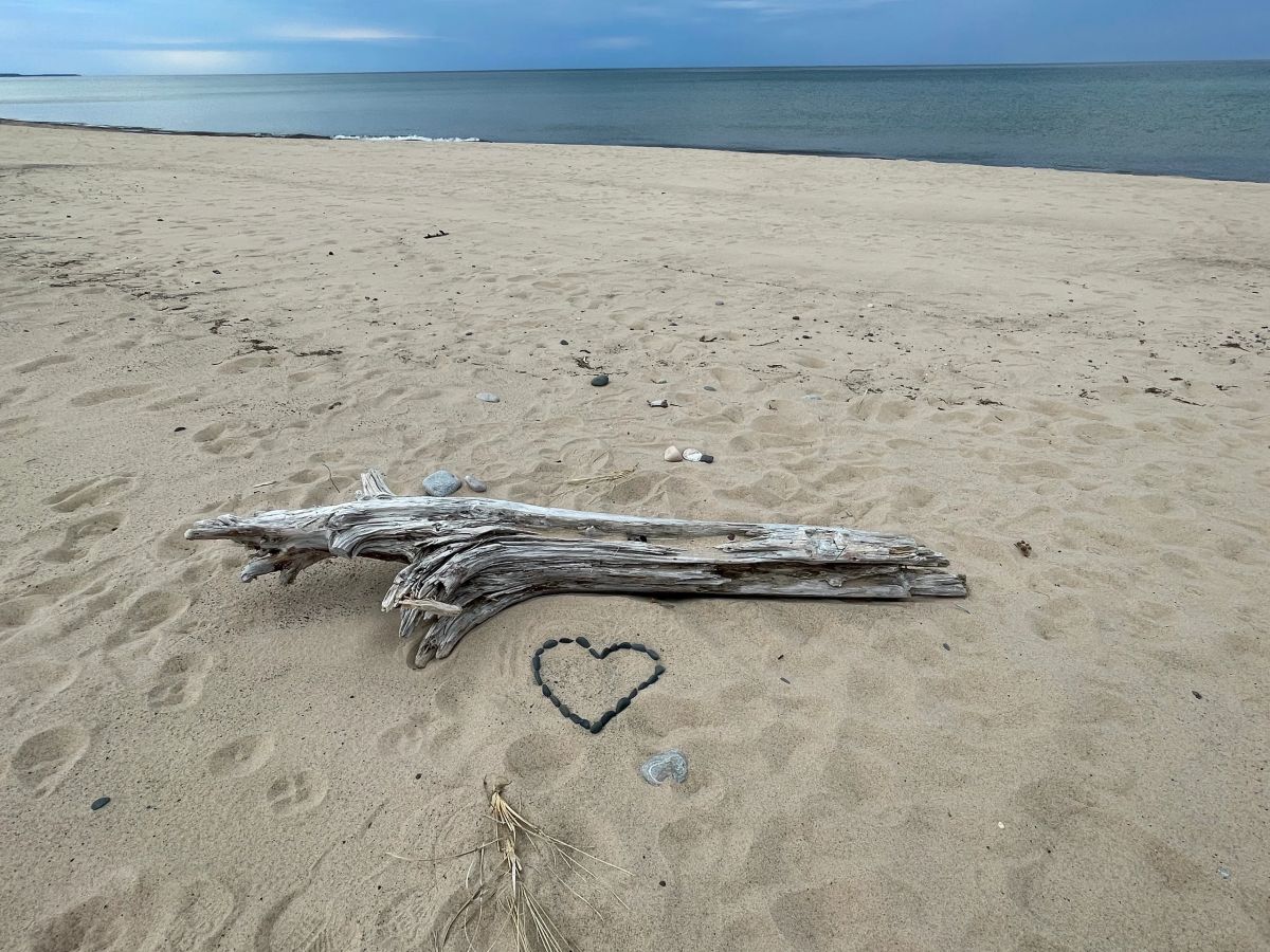 Driftwood on the Lake Superior beach near Fletchy's Pictured Rocks Resort in Grand Marais